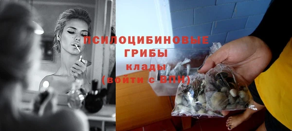 крисы Алексеевка