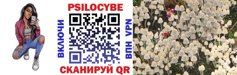 Галлюциногенные грибы Psilocybe Тосно